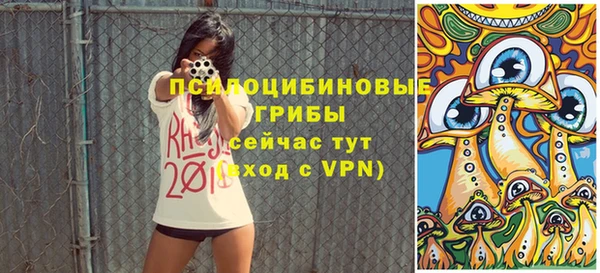 эйфоретик Ладушкин